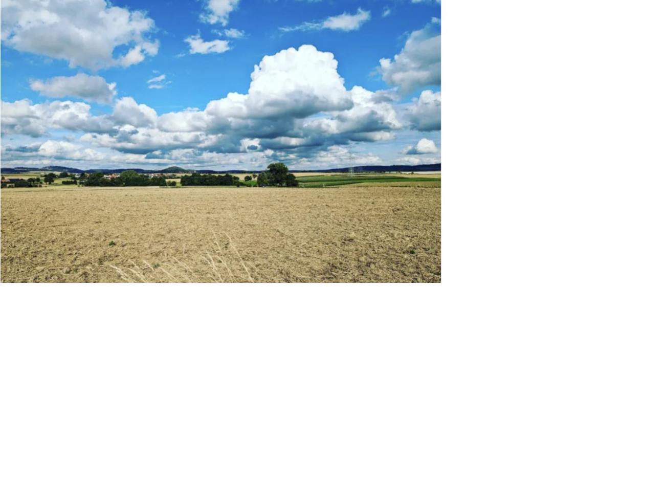 Vintage-Zimmer Burgblick Felsberg Exteriör bild